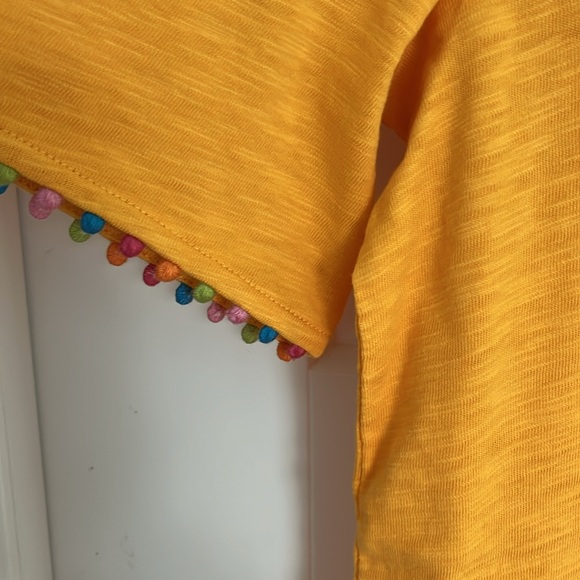 NWT 6R Boden Ali Pom Sleeve Dress in Artisan’s Gold - Picture 6 of 7